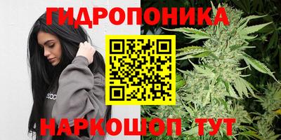 Альфа ПВП Обнинск