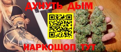 сатива Обь