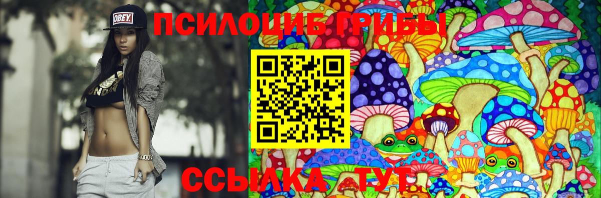 Галлюциногенные грибы Psilocybe  Псилоцибиновые грибы ЛСД  Вход с VPN  закладки  Тамбов 