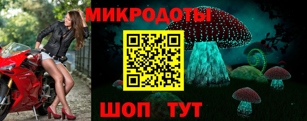 Псилоцибиновые грибы Cubensis Тамбов